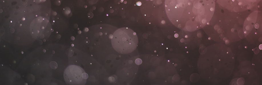 elsie bussx Cover Image